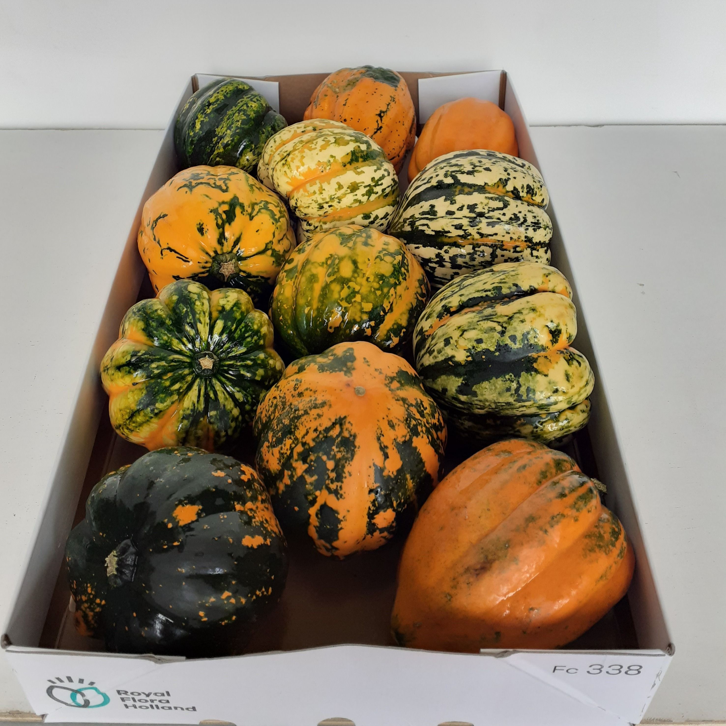 Sierfruit Celebration